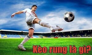 Giới Thiệu Về Kèo Rung là gì? 